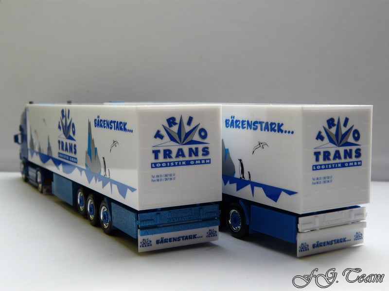 Trio Trans (8).JPG